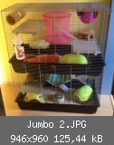 Jumbo 2.JPG