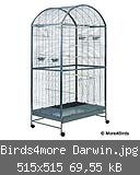Birds4more Darwin.jpg