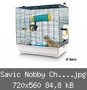 Savic Nobby Chichi 2.jpg