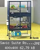 Savic Suite Royal 95 Double.jpg